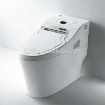 TL-0018 Ceramics Floor Mounted Smart Toilet Intelligent Toilet