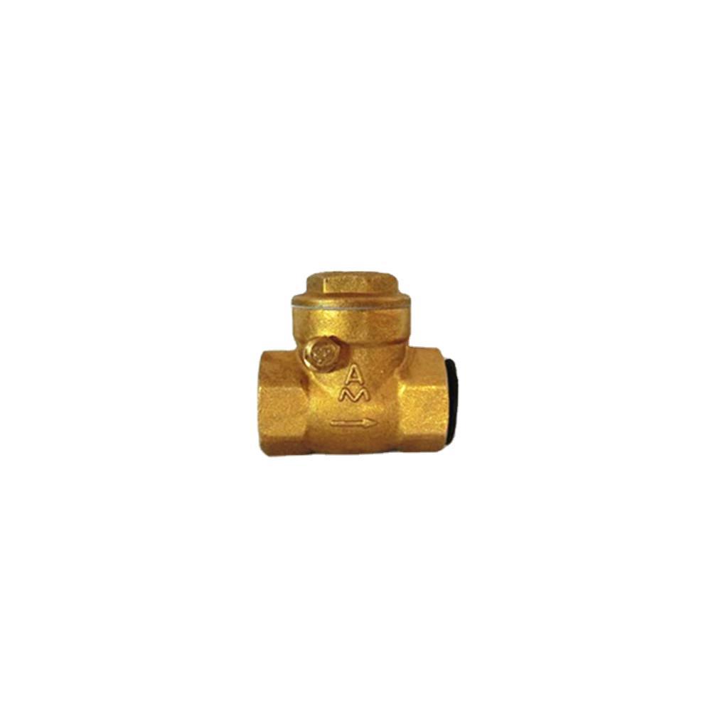 401a Style Npt 1inch Brass Nbr Rubber Check Valve